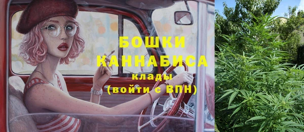 дмт Бронницы