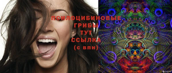 jwh Бородино