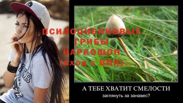 jwh Бородино