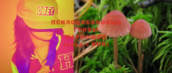 шишки Бугульма